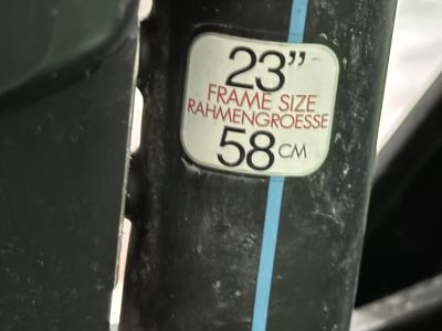 E-Bike Herrenfahrrad Stevens Bosch 400 Rahmengröße 61