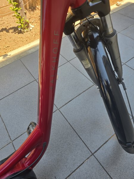 E bikes 4 Stück