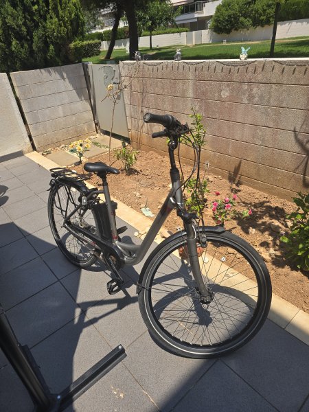 E bikes 4 Stück
