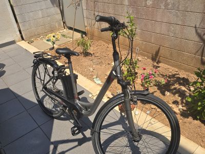E bikes 4 Stück