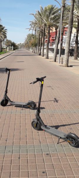 E Scooter für 50.- Euro