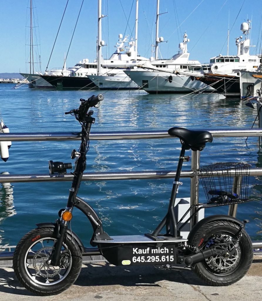 E-Scooter "Revoluzzer 2.0 plus" mit Lithium-Akku