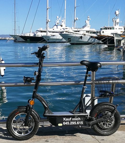 E-Scooter "Revoluzzer 2.0 plus" mit Lithium-Akku