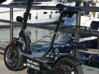 E-Scooter "Revoluzzer 2.0 plus" mit Lithium-Akku