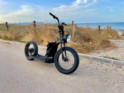 E Scooter Roller