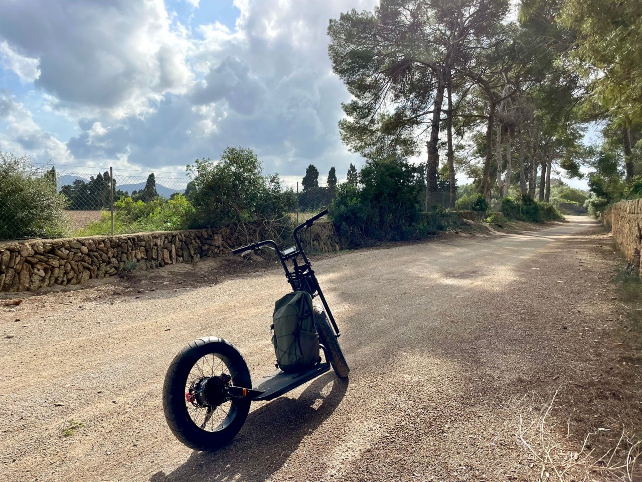 E Scooter Roller