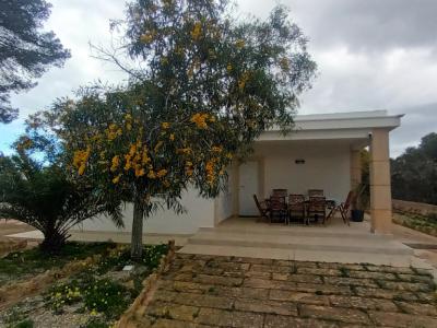 Ebenerdiges und modernes Chalet mit 5 Zimmern in Cala LLombards -- CH 20