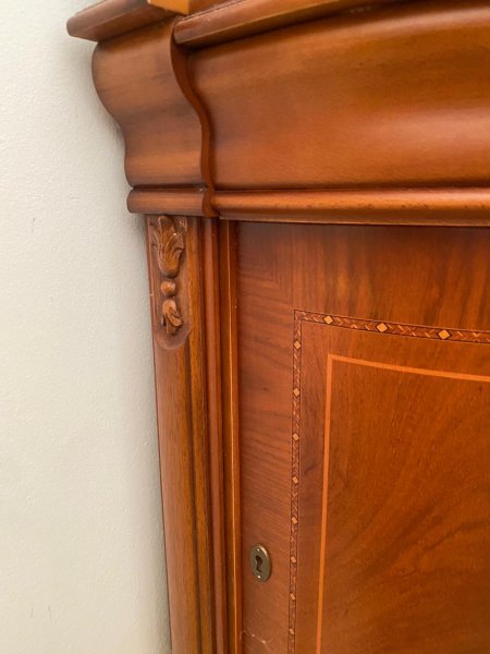 Corner Display Cabinet with Light