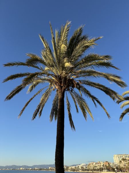 Actually, only you are missing......