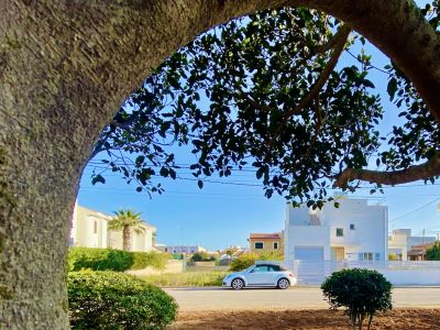 Ein Winter auf Mallorca:  Villa Isla Bonita als Zuhause auf Zeit | Nov. 2026  - April 2027