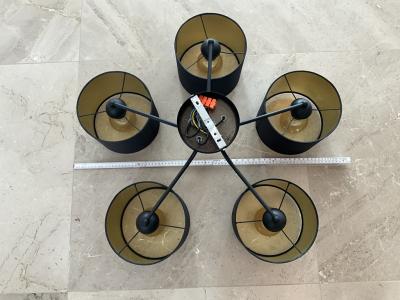 Eine Pendelleuchte und eine Deckenleuchte zu verschenken