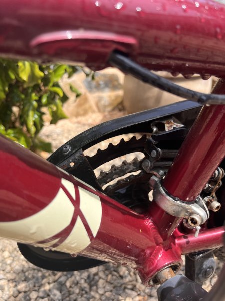 Einfaches Damen Fahrrad