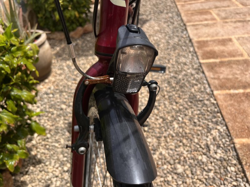 Einfaches Damen Fahrrad