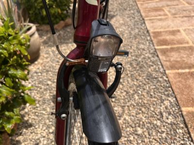 Einfaches Damen Fahrrad