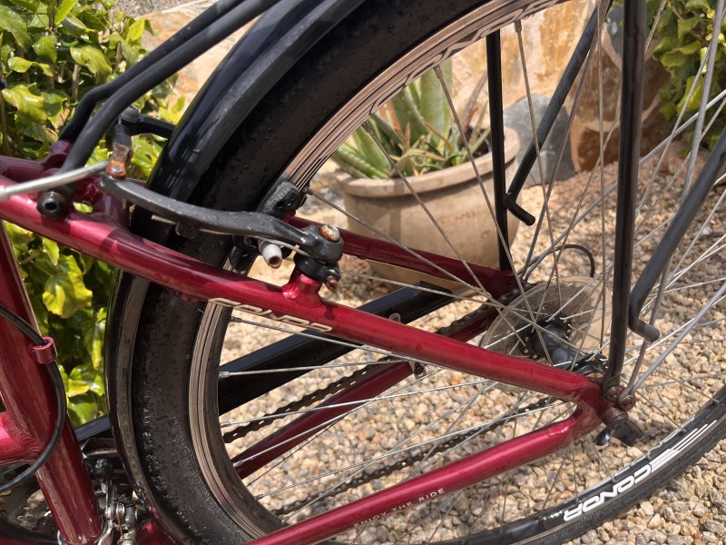 Einfaches Damen Fahrrad