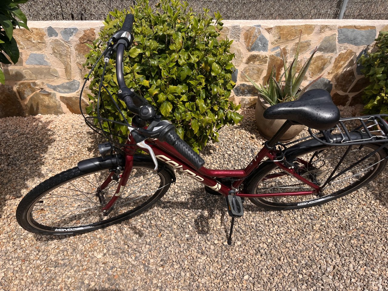 Einfaches Damen Fahrrad
