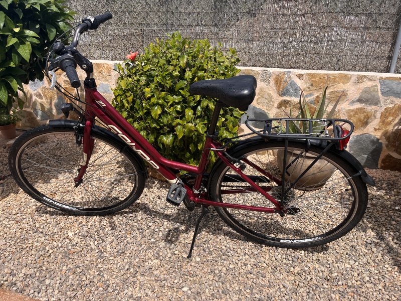 Einfaches Damen Fahrrad
