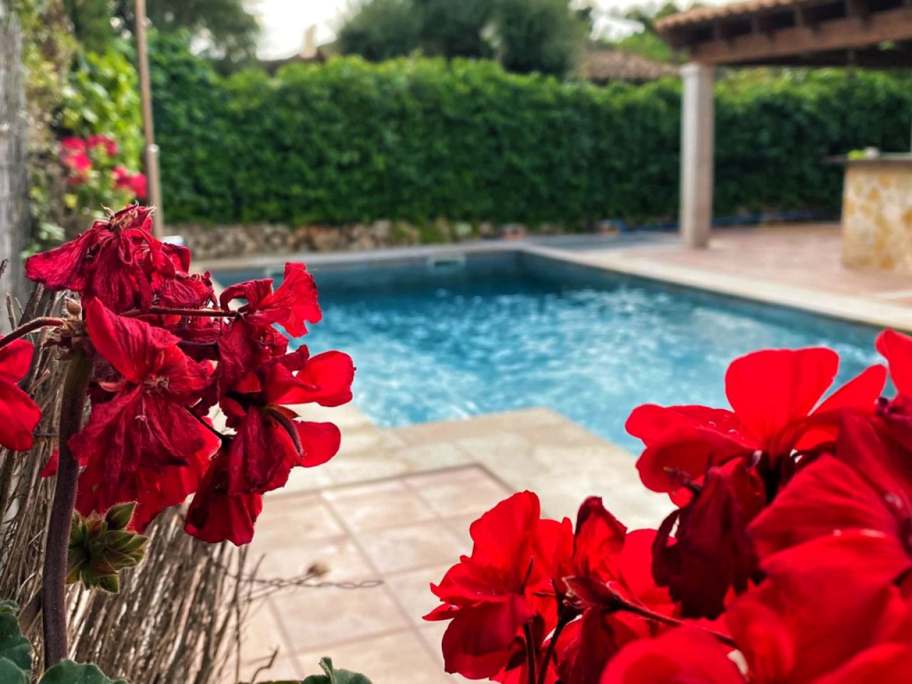 Einfamilienhaus Cala Romántica mit Pool, Garten und Strandnähe