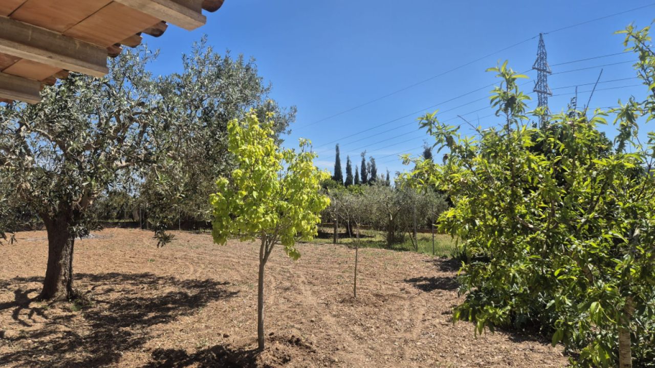 Einfamilienhaus zu vermieten auf dem Hügel von Manacor – Zona Rafa Nadal