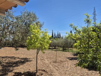 Einfamilienhaus zu vermieten auf dem Hügel von Manacor – Zona Rafa Nadal