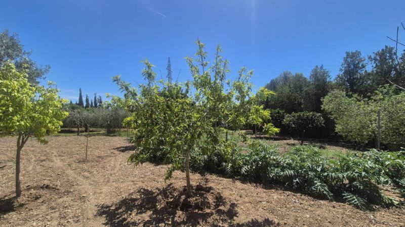 Einfamilienhaus zu vermieten auf dem Hügel von Manacor – Zona Rafa Nadal