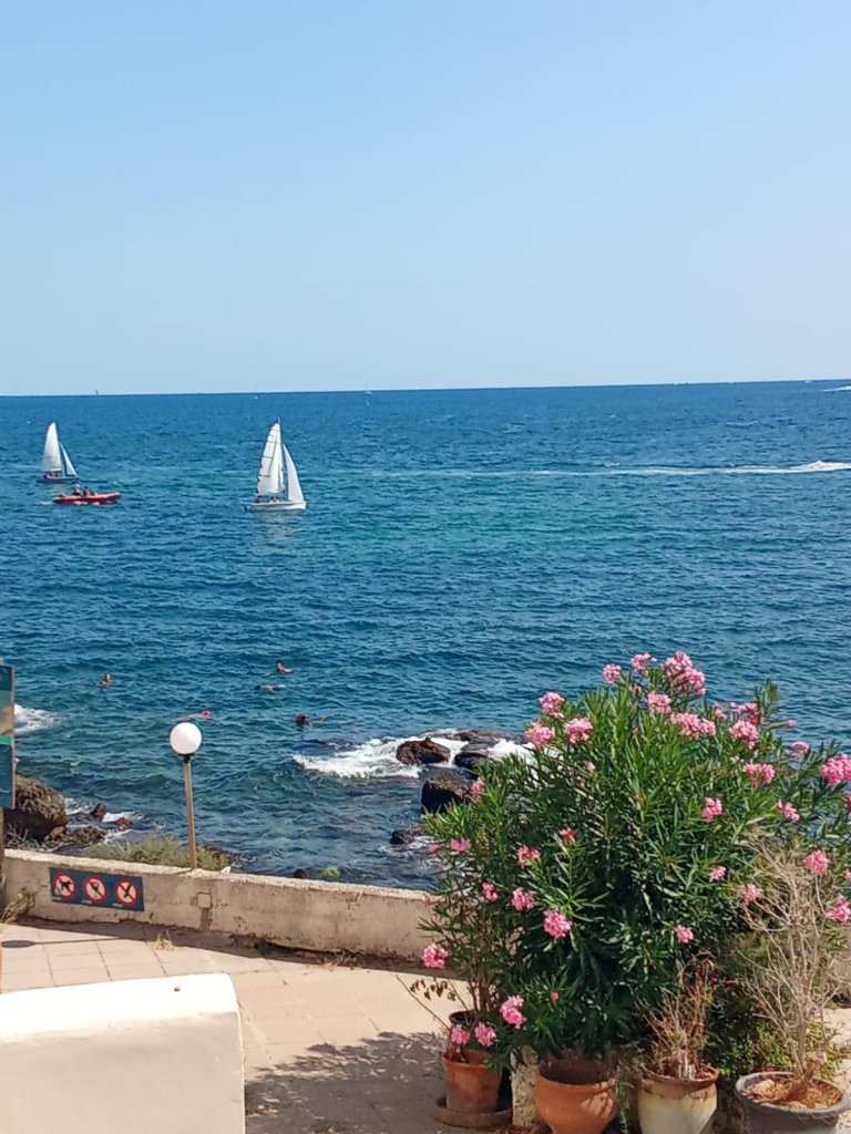 EINMALIGE GELEGENHEIT! Übernahme eines exklusiven Beach Clubs in Cala Major (Mallorca)