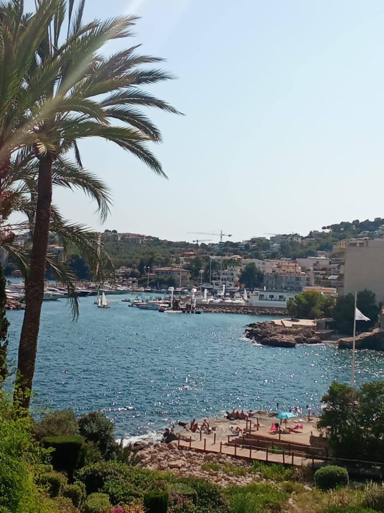 EINMALIGE GELEGENHEIT! Übernahme eines exklusiven Beach Clubs in Cala Major (Mallorca)