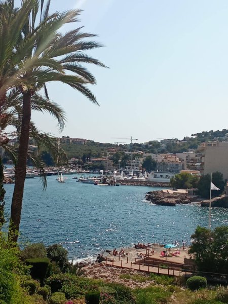 EINMALIGE GELEGENHEIT! Übernahme eines exklusiven Beach Clubs in Cala Major (Mallorca)