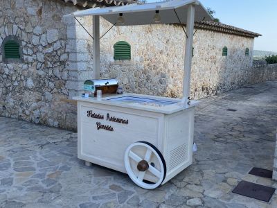 Artisanal Ice Cream Cart for Events and Celebrations
