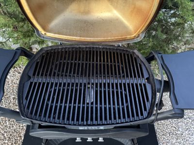 Elektrischer Weber Grill