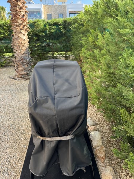 Elektrischer Weber Grill
