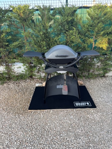 Elektrischer Weber Grill