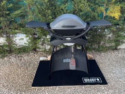 Elektrischer Weber Grill