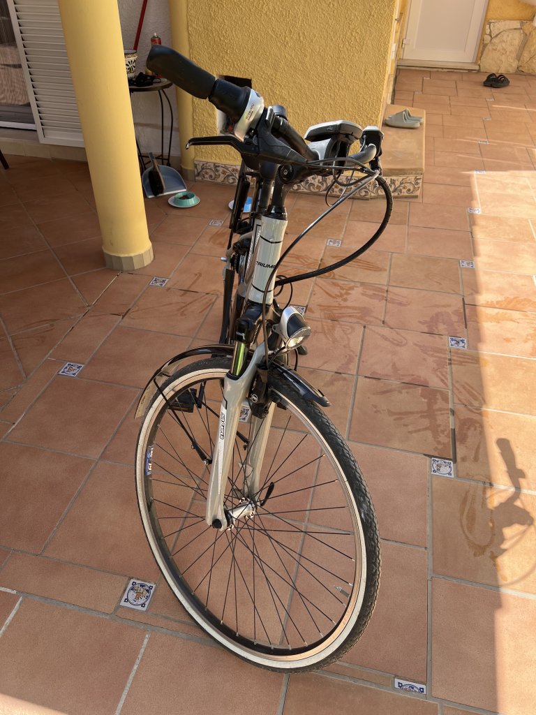 Electric bike