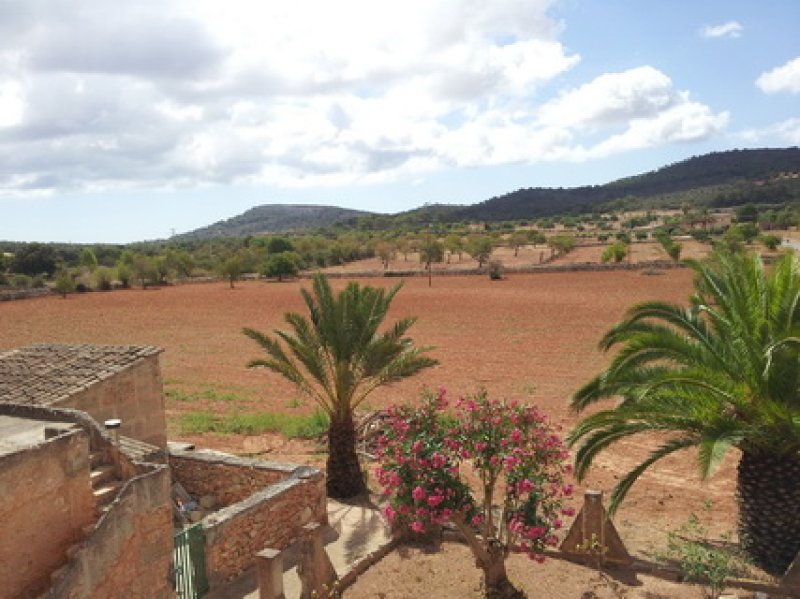 Finca de 2 plantas extremadamente grande con piscina y calefacción central de gasóleo en las afueras de Cas Concos -- F 162