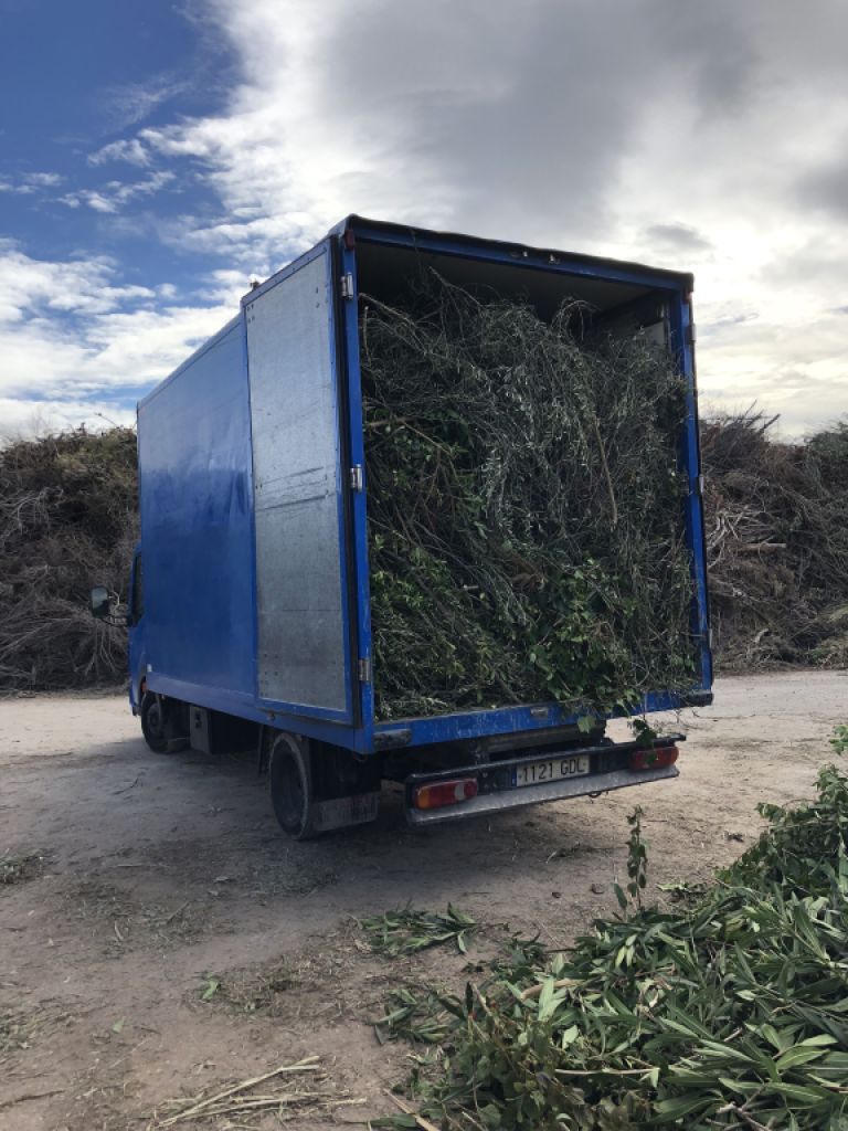 Vaciados, desmontes y derribos. Leerung, Räumung und Abbruch.