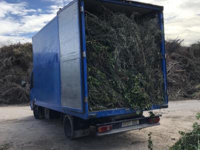 Vaciados, desmontes y derribos. Leerung, Räumung und Abbruch.