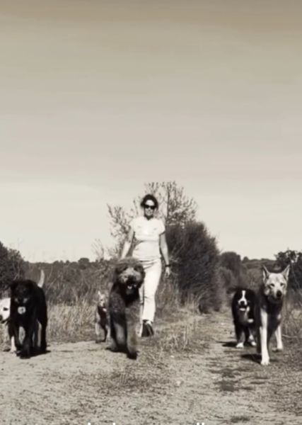 Dog training in the southeast of Mallorca