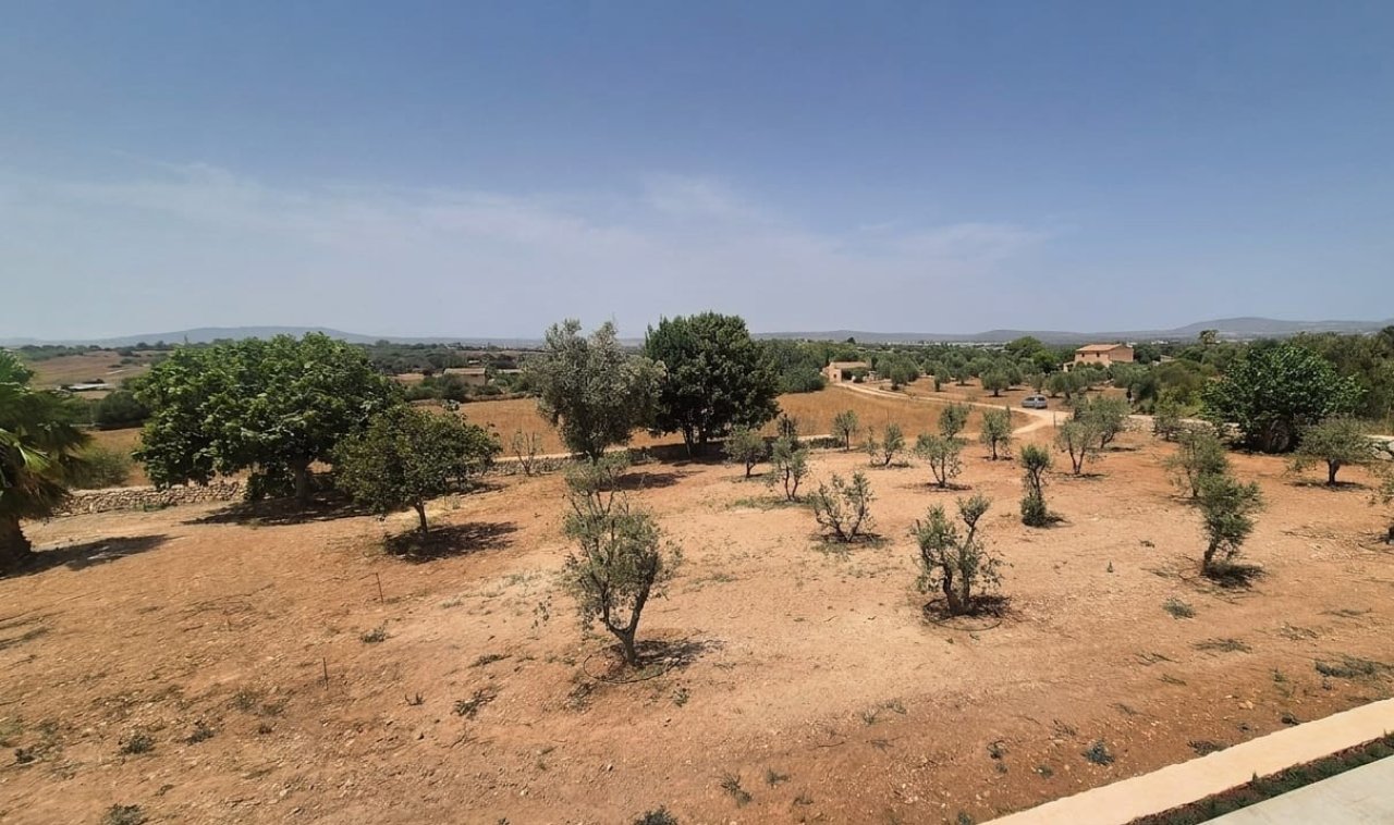 Exclusive brand-new finca for rent 4 km from Manacor near the Rafa Nadal Academy