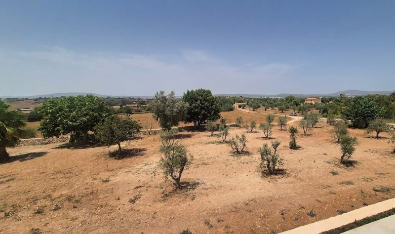 Exclusive brand-new finca for rent 4 km from Manacor near the Rafa Nadal Academy