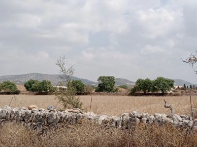 Exklusives Baugrundstück in Santanyí mit Baulizenz für Luxusanwesen