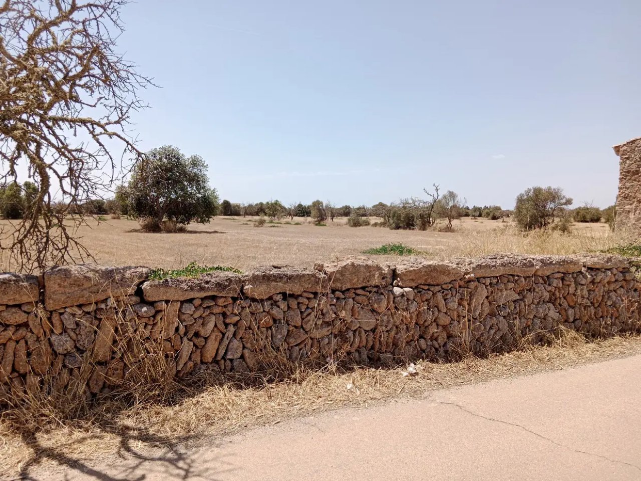 Exklusives Baugrundstück in Santanyí mit Baulizenz für Luxusanwesen