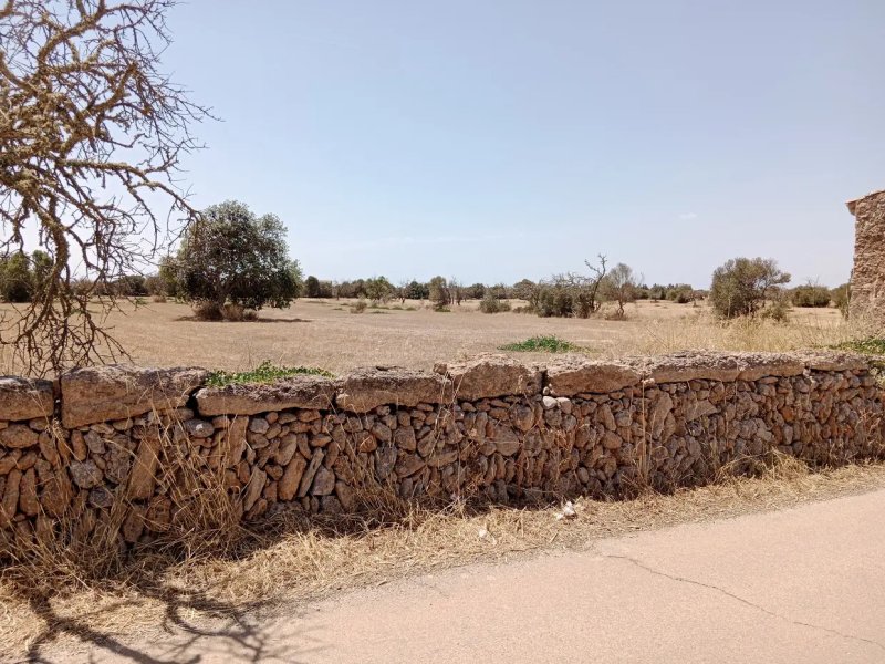 Exklusives Baugrundstück in Santanyí mit Baulizenz für Luxusanwesen