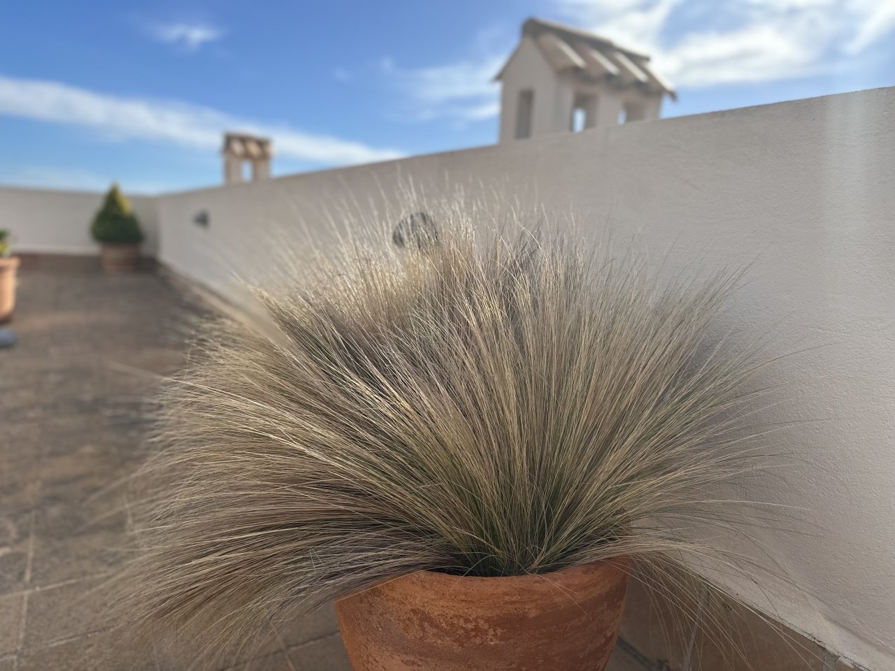 Exklusives Penthouse mit Meerblick & direktem Zugang zum Golfplatz Santa Ponça III