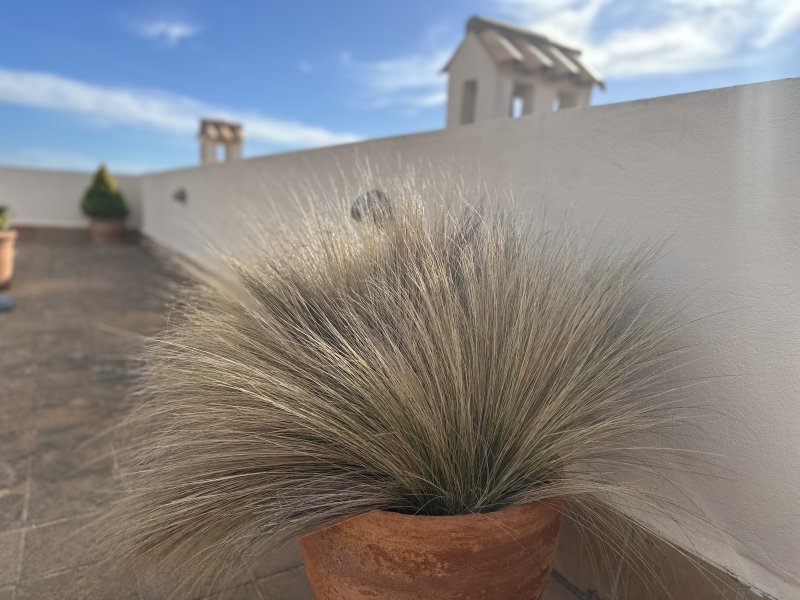Exklusives Penthouse mit Meerblick & direktem Zugang zum Golfplatz Santa Ponça III