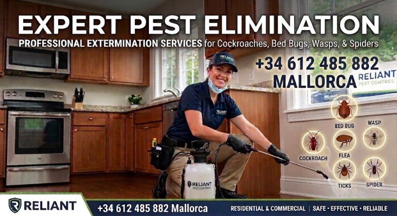 Exterminadores expertos de plagas