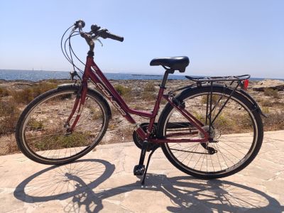 Fahrrad 26 Zoll voll funktionsfähig