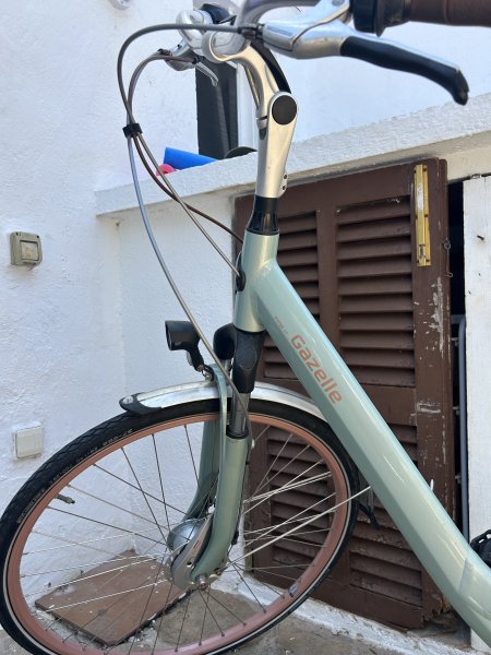 Fahrräder Gazelle
