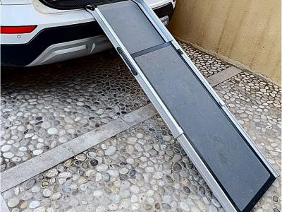 faltbare Teleskop-Hunderampe für den Einstieg in den Kofferraum