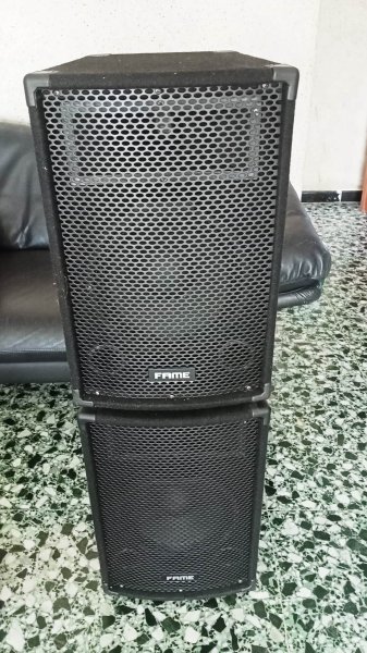 Fame MC 10 Plus MK2 350 Watt altavoces para fiestas